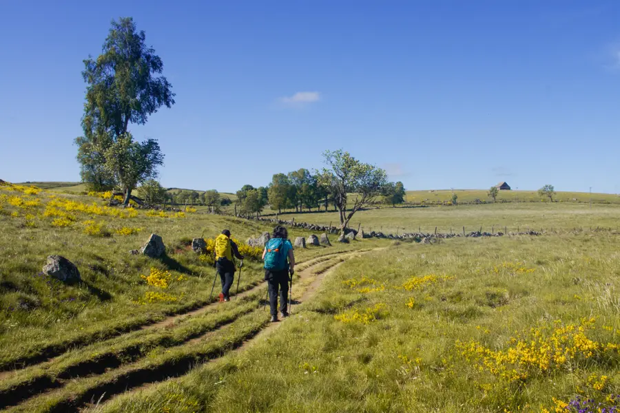 Randonneur sur le plateau de l'Aubrac