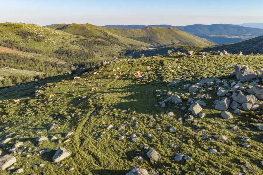 Randonnée sur les crètes du Mont Lozère
