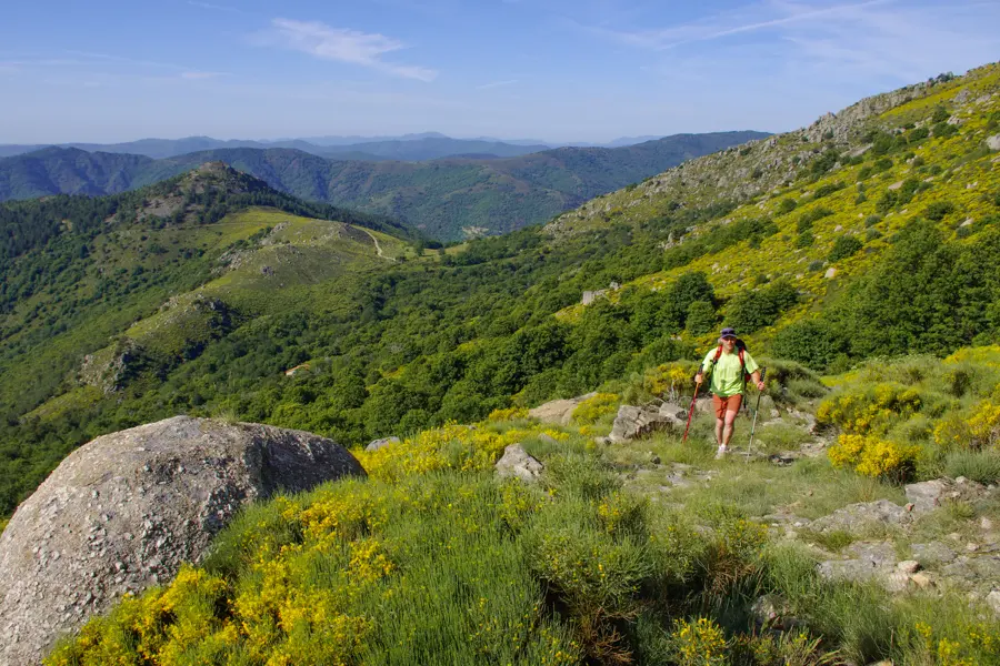 Mont-Lozère et Cévennes