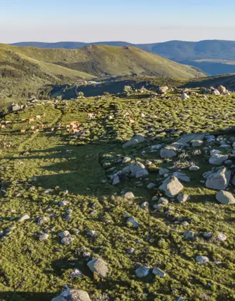 randonnee-mont-lozere-cevennes