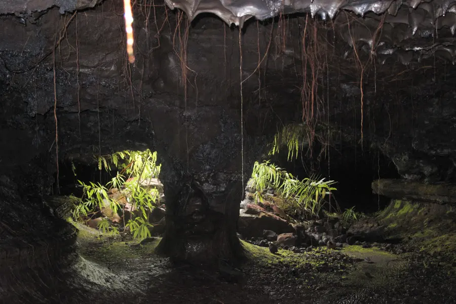 Visite d'un tunnel de lave