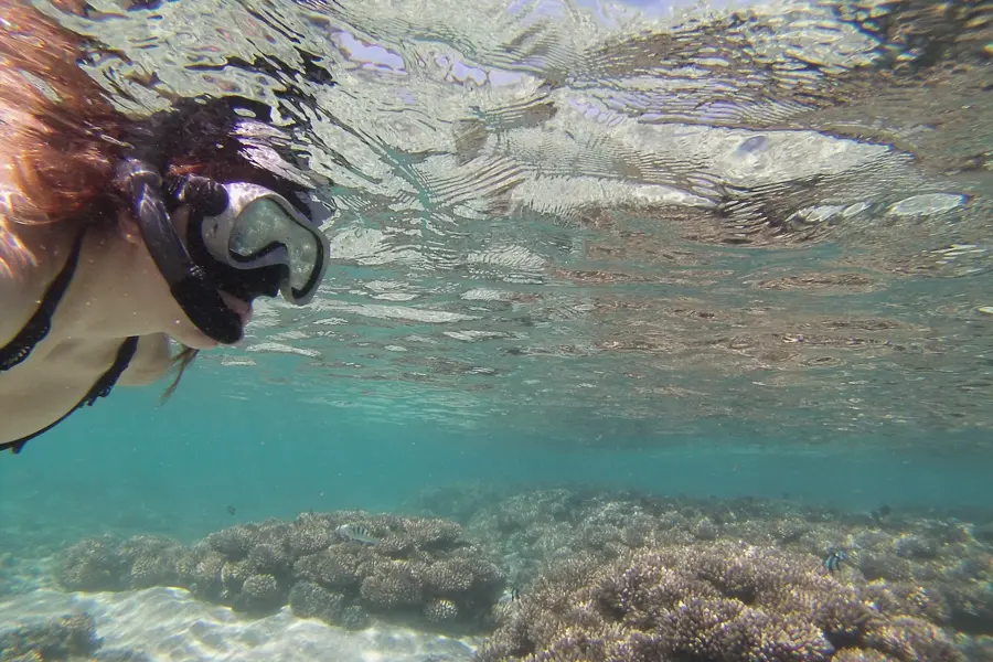 Snorkeling sur l'île de la Réunion