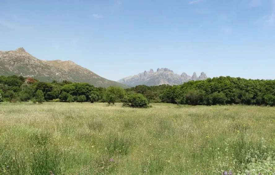 Randonnée au coeur de l'Alta Rocca
