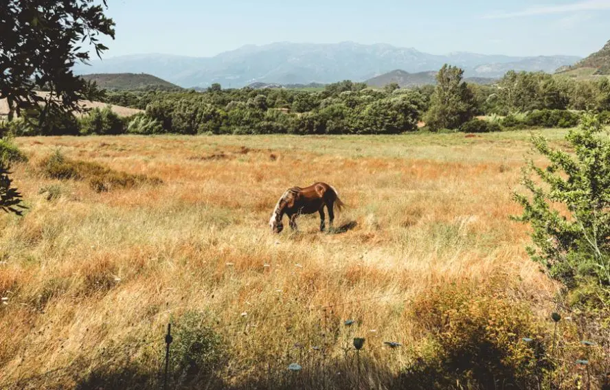 Christian Lendi-unsplash