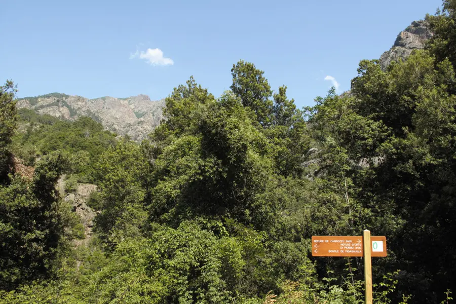 GR20 Nord : de Vizzavona à Bonifatu