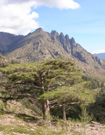 jnicourt gr20-nord-vizzavona-a-bonifatu