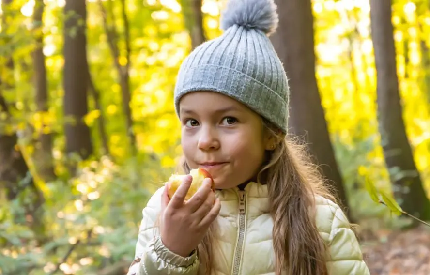 AdobeStock 1044655393
