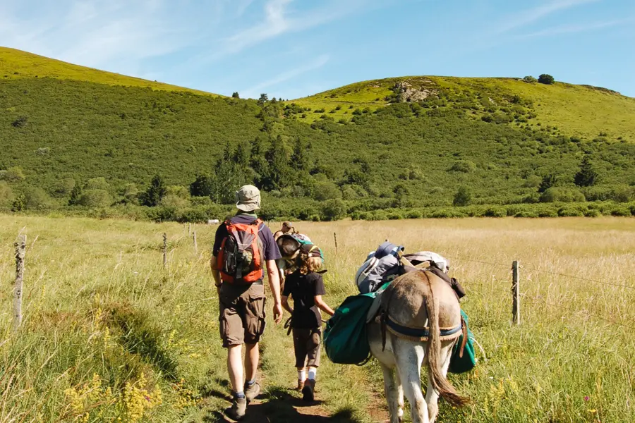 La chaîne des Puys, rando avec un âne en famille