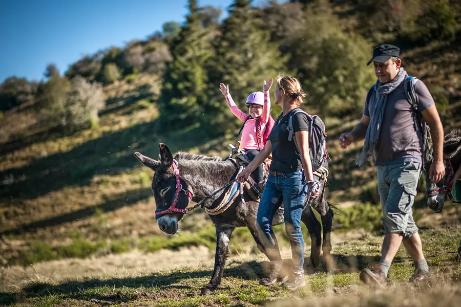 T. Vattard Rencontre avec les ânes