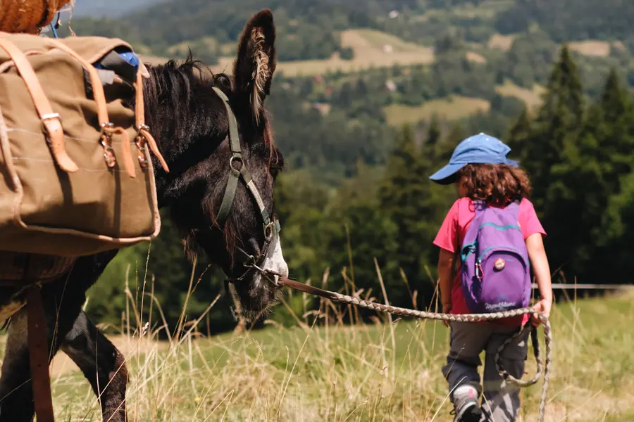 La chaîne des Puys, rando avec un âne en famille