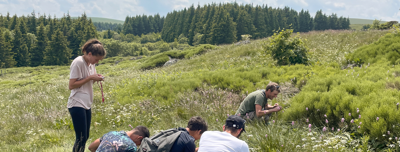 decouverte-plantes-medicinales