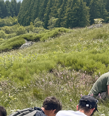 decouverte-plantes-medicinales