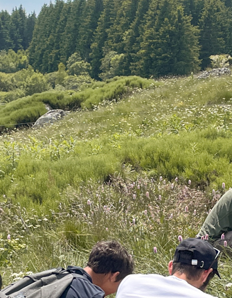 decouverte-plantes-medicinales