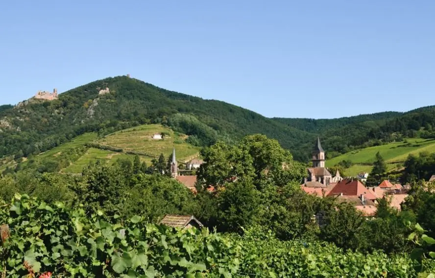 Ribeauvillé Alsace