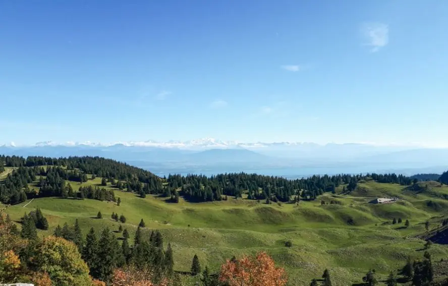 Jura Rando