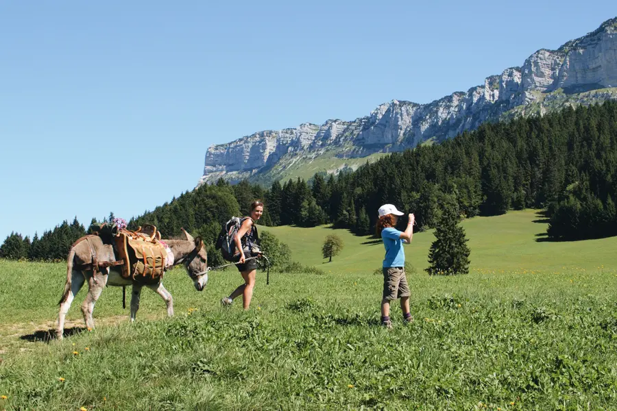 Parc Naturel de la Chartreuse avec un âne