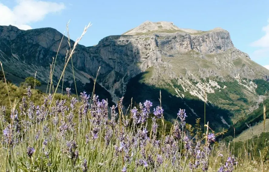 OT Sources du Buëch Devoluy