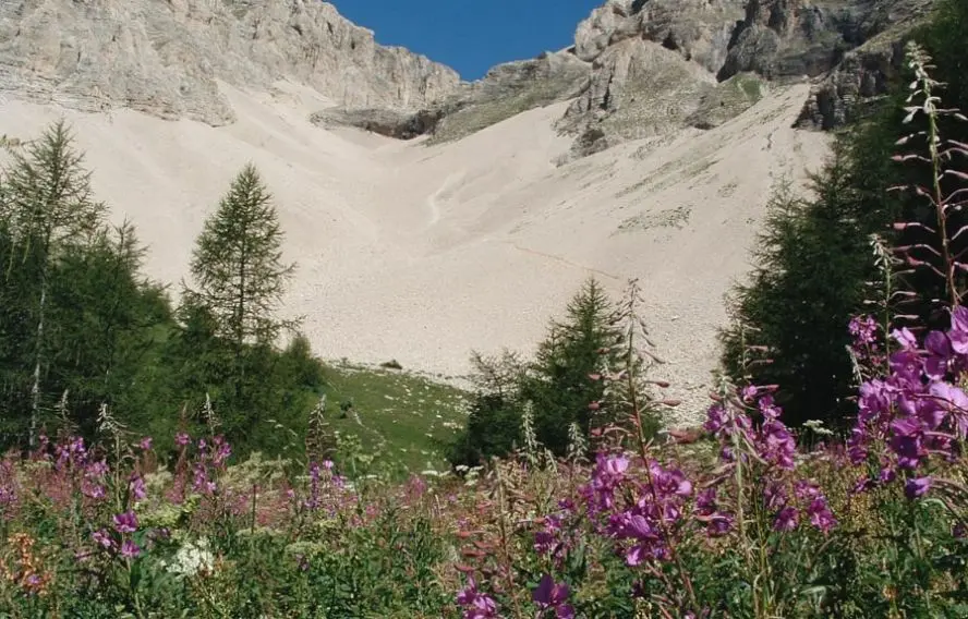 OT Sources du Buëch Devoluy