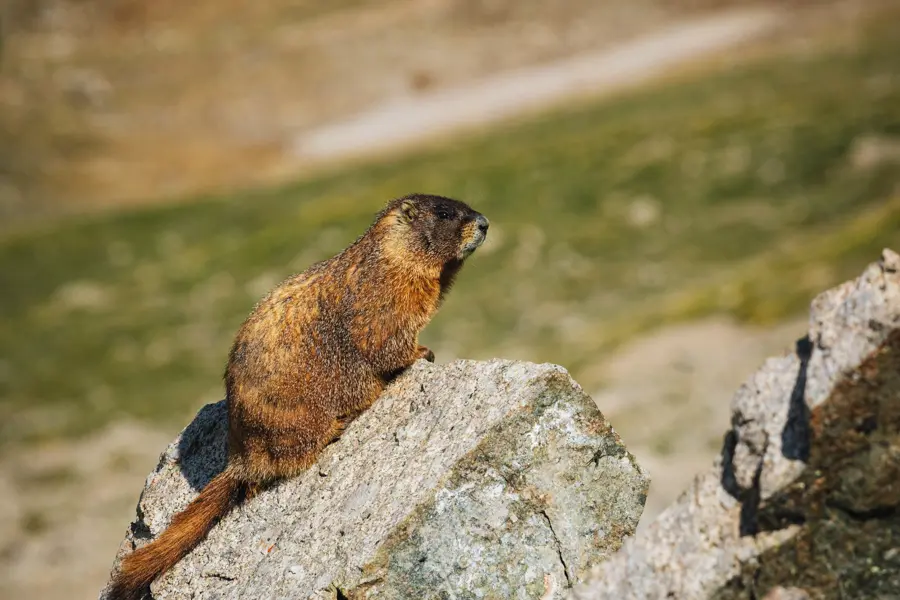 Image Découverte du Queyras, séjour à Prats Hauts