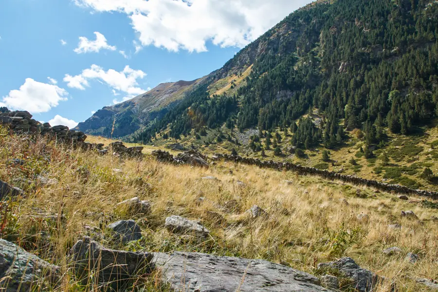Sébastien Berthelot Adobestock Réserve Naturelle de la vallée d'Eyne