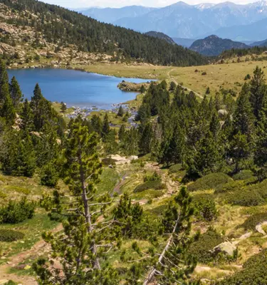 plateau-des-bouillouses