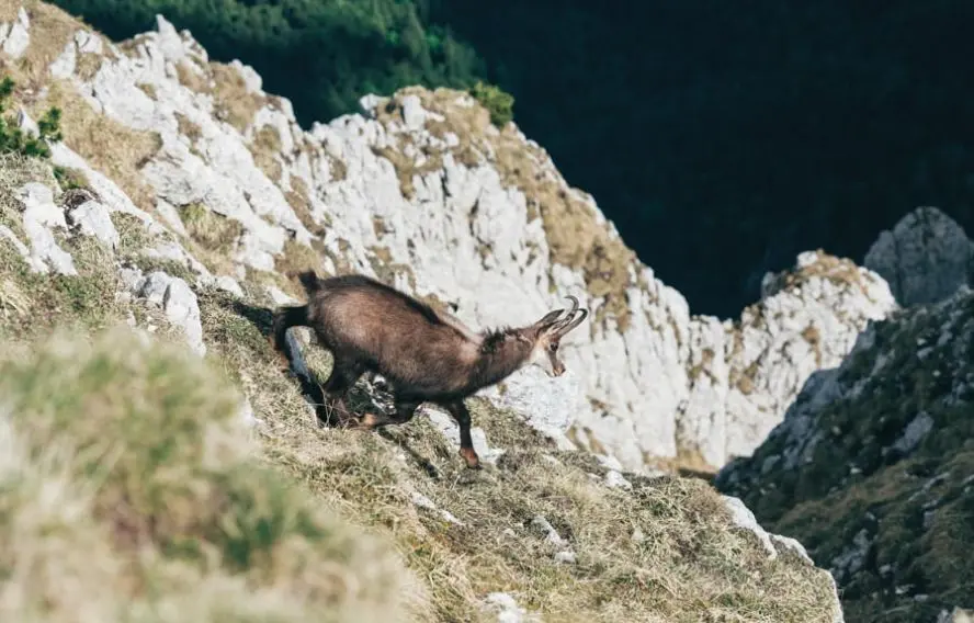 Cristian Grecu unsplash