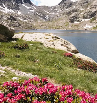 parc-mercantour-alpes