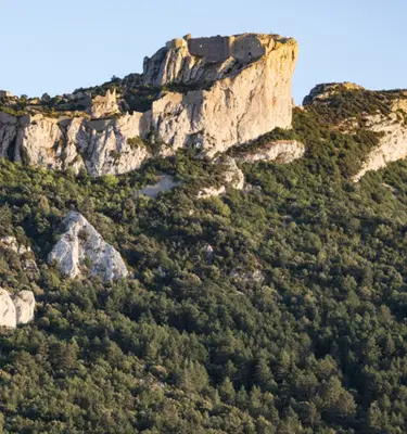 chateau-cathare-peyrepertuse-pyrenees