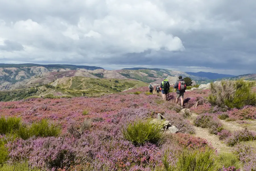 Le plateau du Caroux 