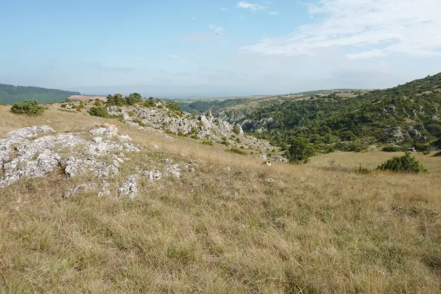 Secrets d'Aveyron, grands causses