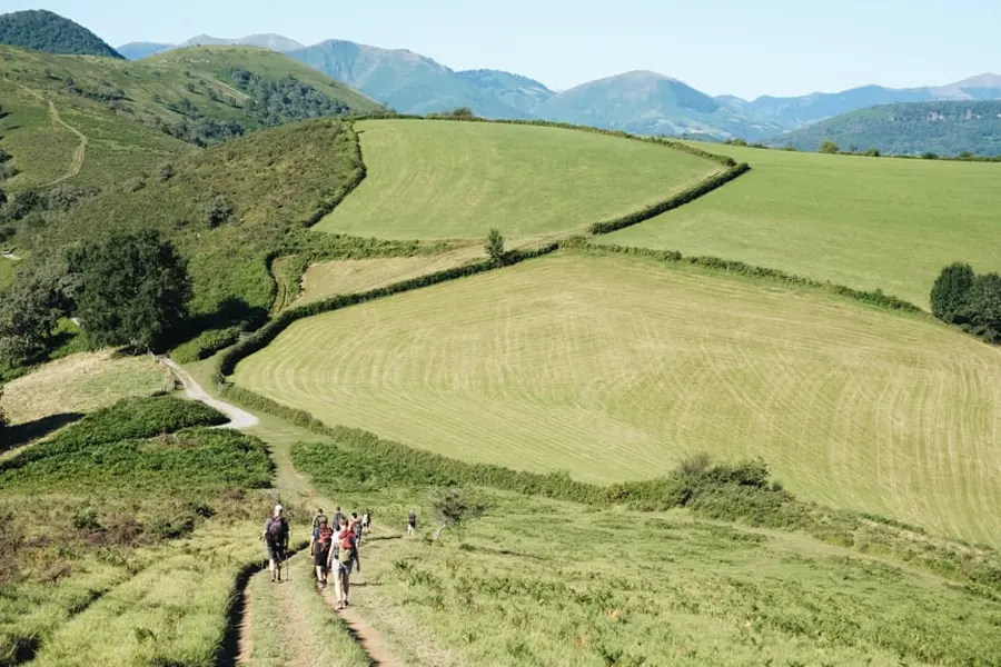 Image Nouvel an au Pays Basque
