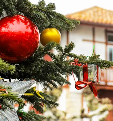 nouvel-an-pays-basque