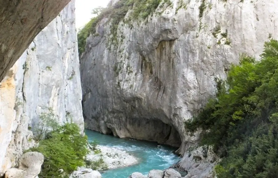 laviesauvage