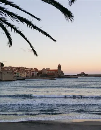 plage-collioure