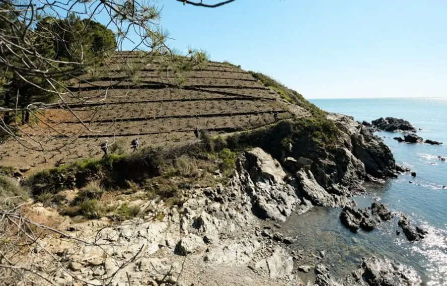 Randonnée prés des vignes dans la région de Collioure