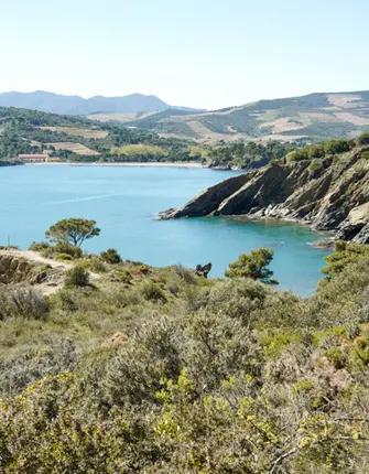 collioure-cadaques-de-plage-en-sommet