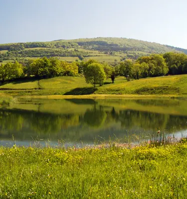 retrouvance-en-limousin