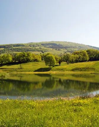 retrouvance-en-limousin