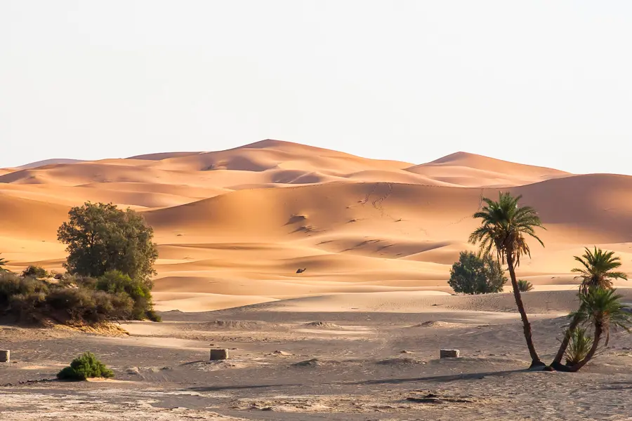 Masar1920 Adobestock