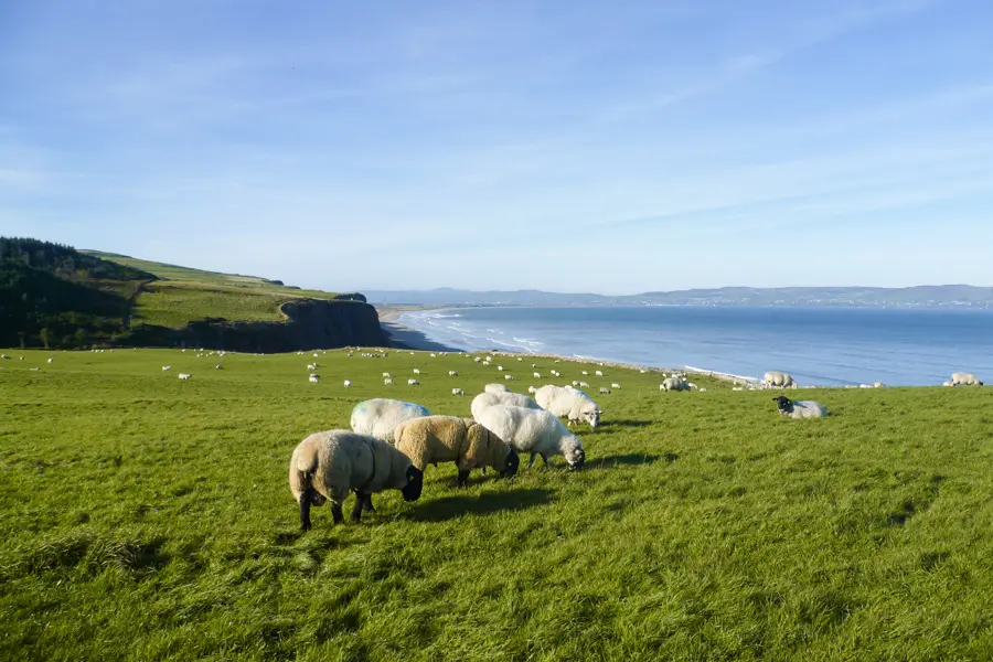 Trek - Irlande : du Connemara à la Chaussée des Géants
