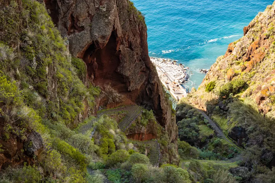 Teddiviscious Adobestock Prazeres