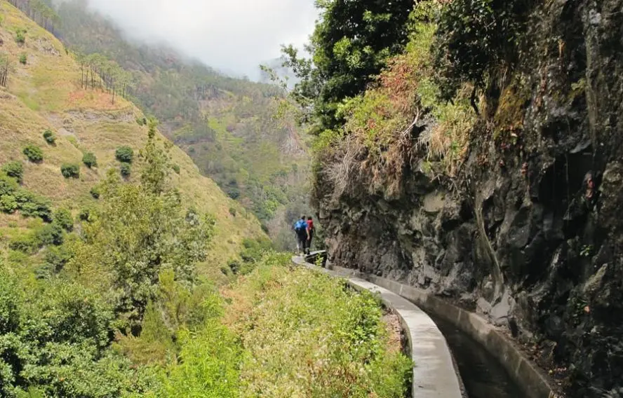 F. Weber Les levadas, une particularité de l'île de Madère