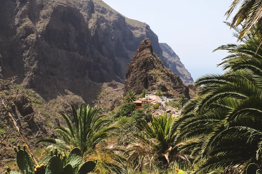 Vallée verdoyante d'El Palmar, ravin de Masca
