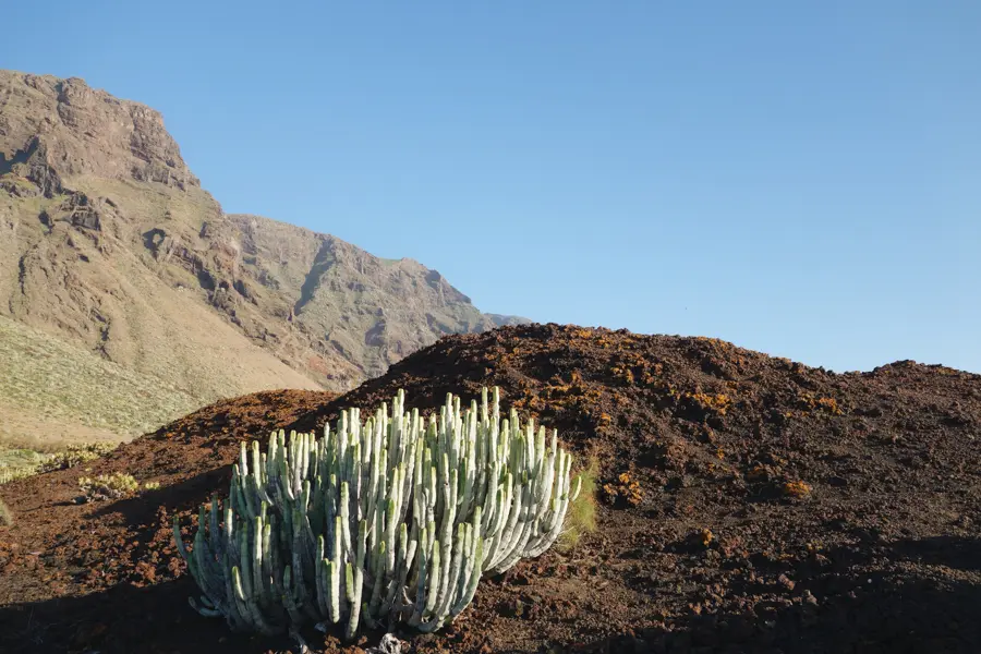 Les massifs volcaniques de Tenerife