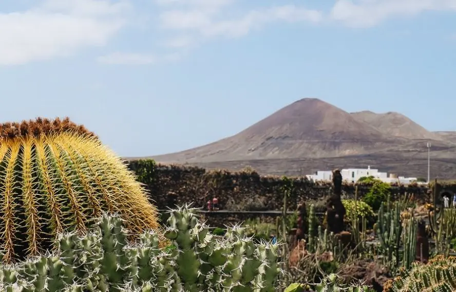 Trek - Espagne : Lanzarote et la Graciosa en famille