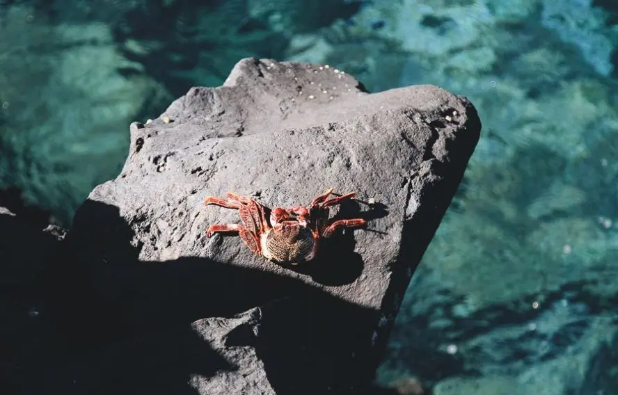 Unsplash Michael H
