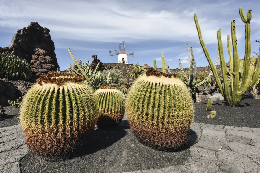 Lanzarote, visite de Los Jameos del Agua