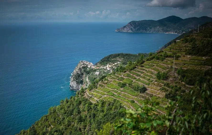 Randonnée avec vue sur les vignes et Corniglia