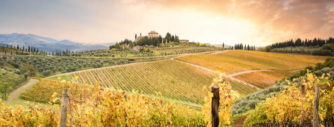 gaiole-in-chianti-stefanotermanini-adobestock