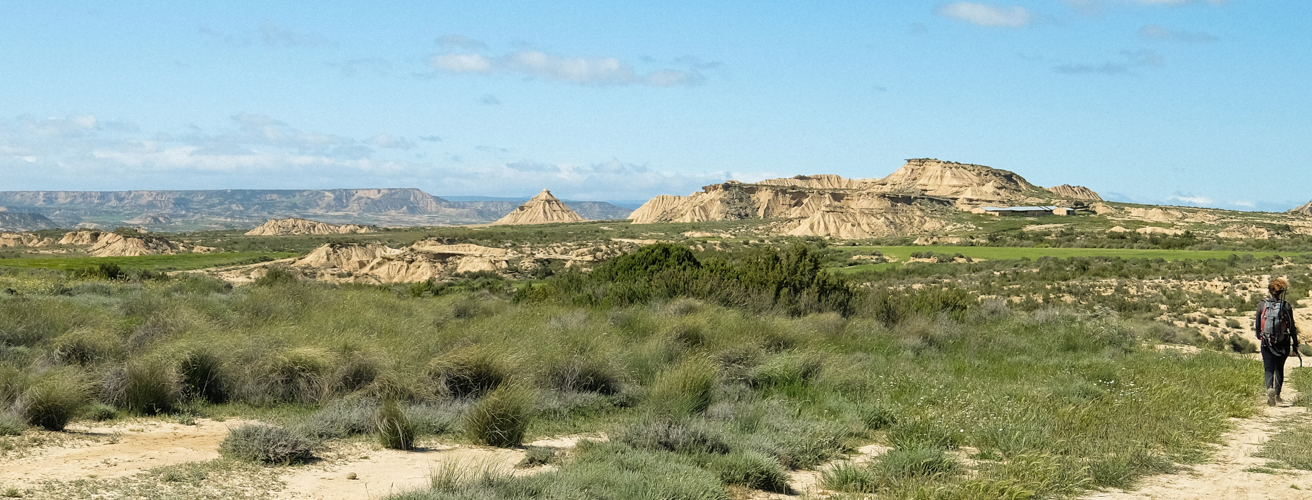 plateau-bardenas-rando-accompagne